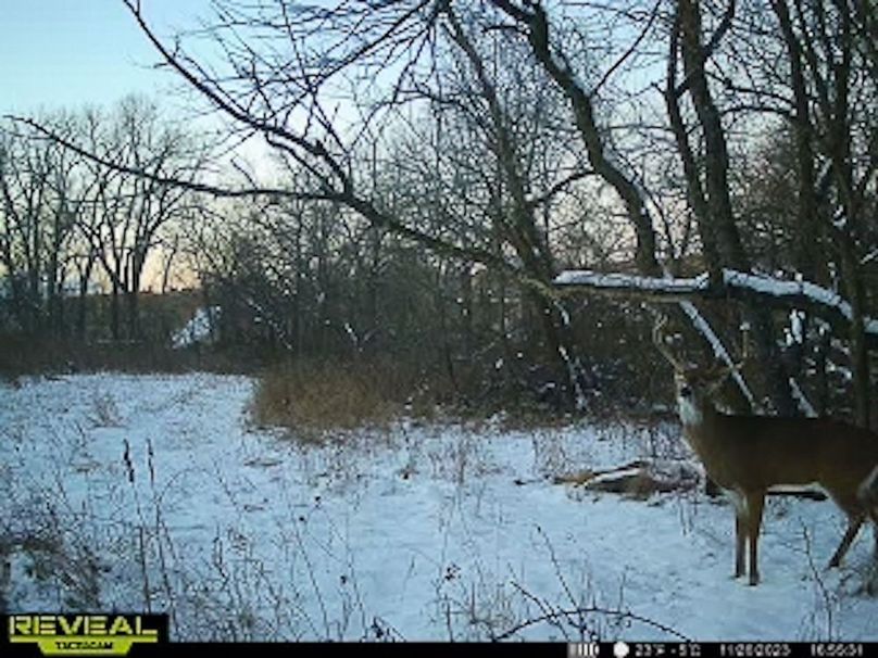 865509050044191-90-4-11262023165550-W1001101