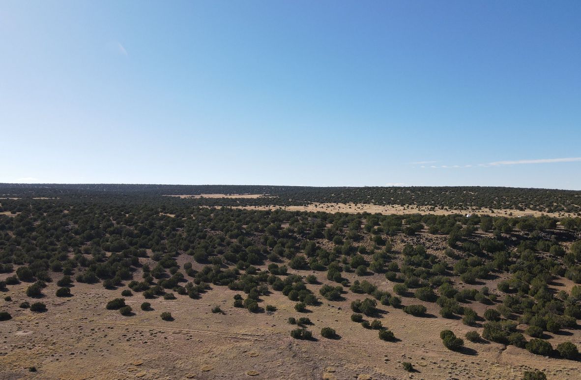 dji_fly_20231027_142052_128_1698441881340_photo