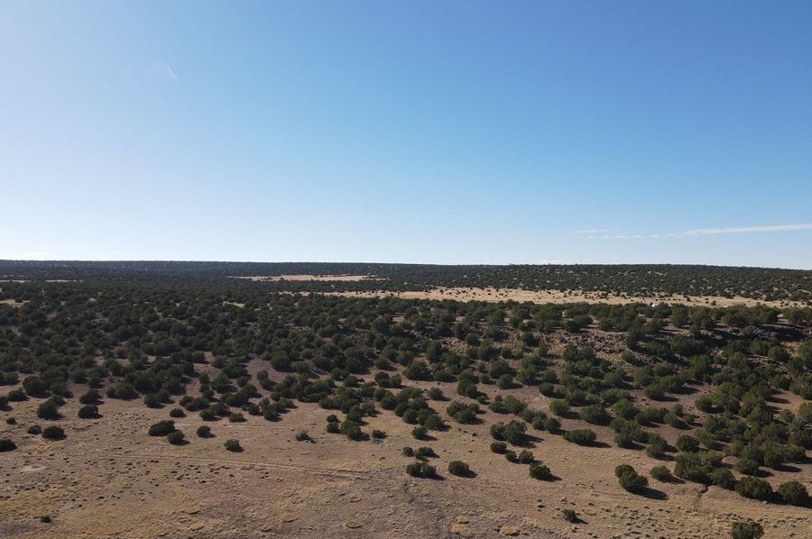 dji_fly_20231027_142052_128_1698441881340_photo