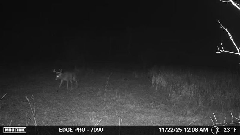 image639020104117423371