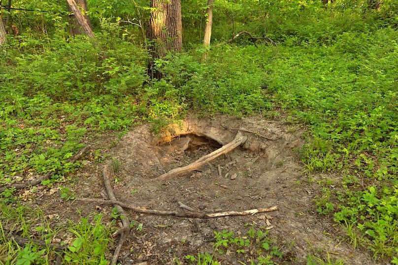 40 woods mineral hole