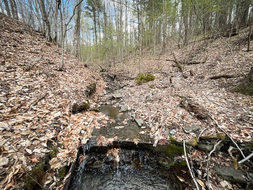 Tioga_76.65_Matyjas_Photos_18