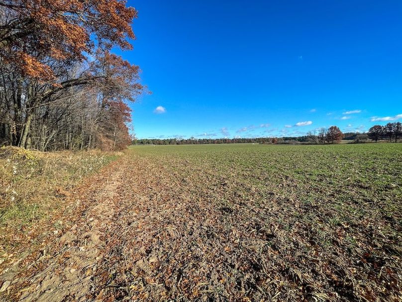 Portage 150.81 JMJK Prop-13