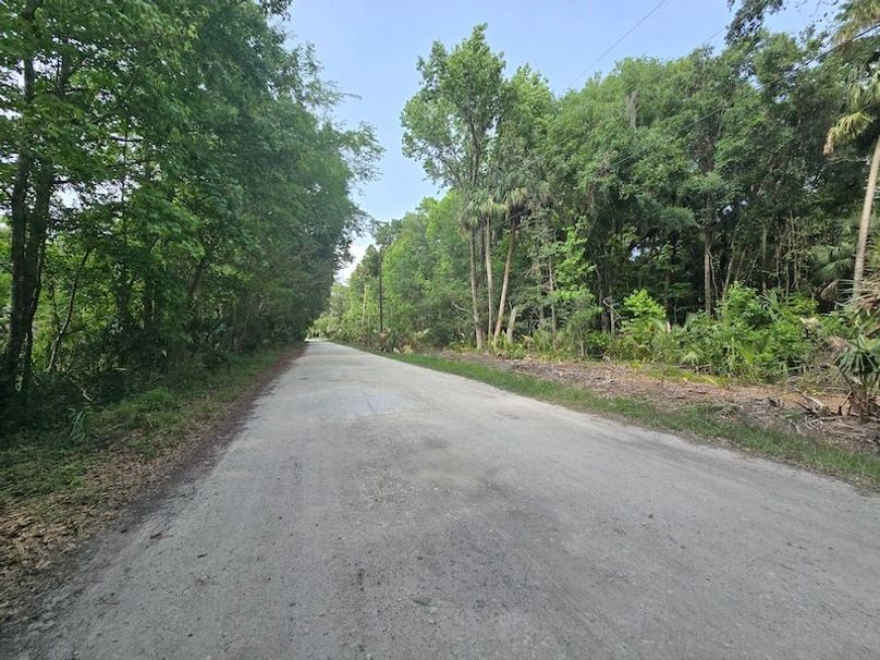 1.01ac, Citrus, Josiah Ronco05