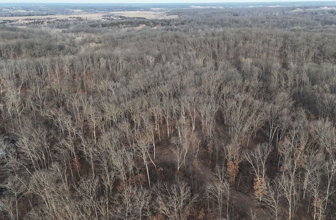 dji_fly_20260208_082828_0041_1770562362166_photo