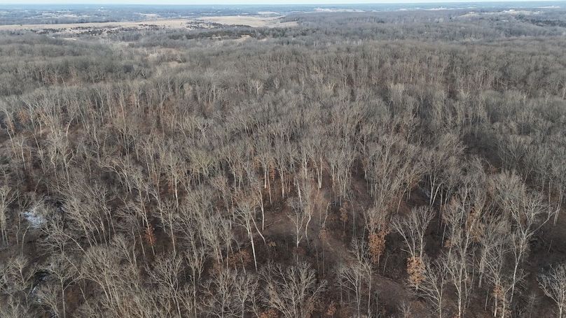 dji_fly_20260208_082828_0041_1770562362166_photo