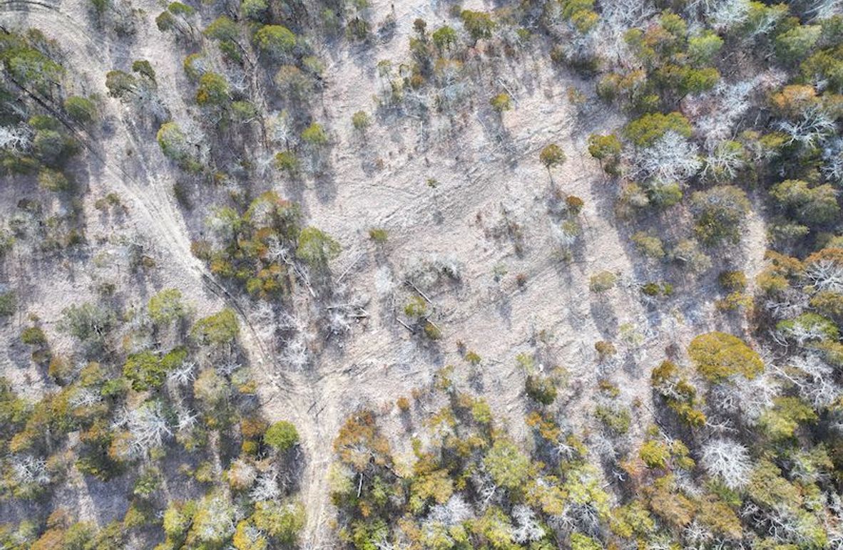 DJI_20240204151809_0013_D