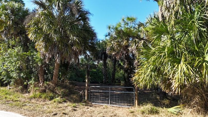 DJI_20260221155712_0372_D