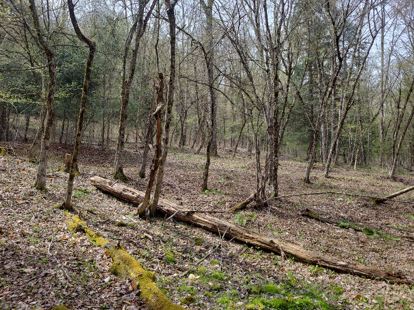 photo_031cece7-95a6-49fc-87df-aae5c55fbfa6