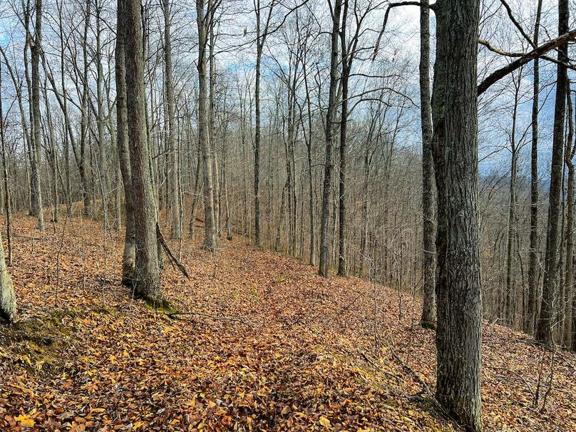 Calhoun, WV 225.69 AC Duffield-63