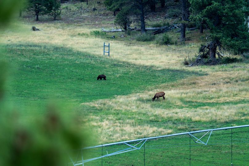 Cibola NM 13,053-7285