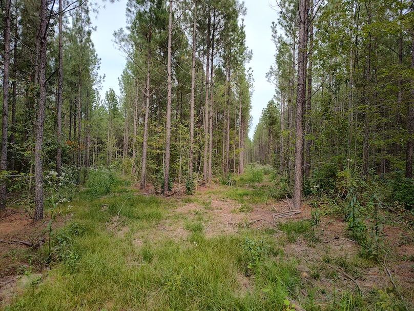 IMG_20250914_151127174_HDR