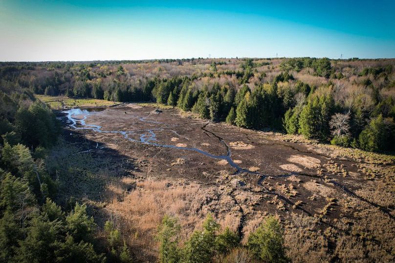 Oswego_17.88_Feld_Photos_40