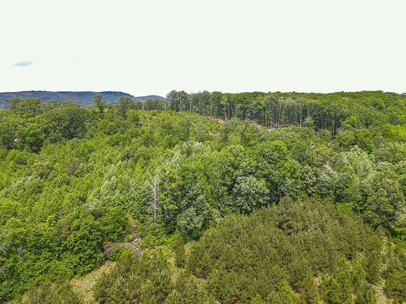 dji_fly_20250501_123434_471_1746117350857_photo