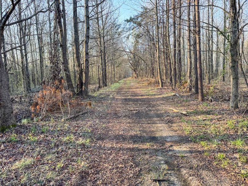 Panola 164.7 SPI Land Ventures-67