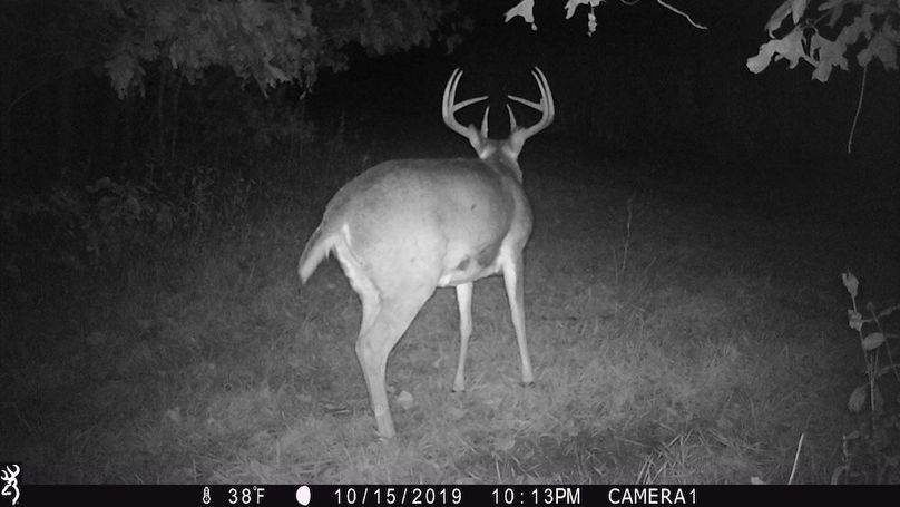 Sauk 174 Trailcam - 68