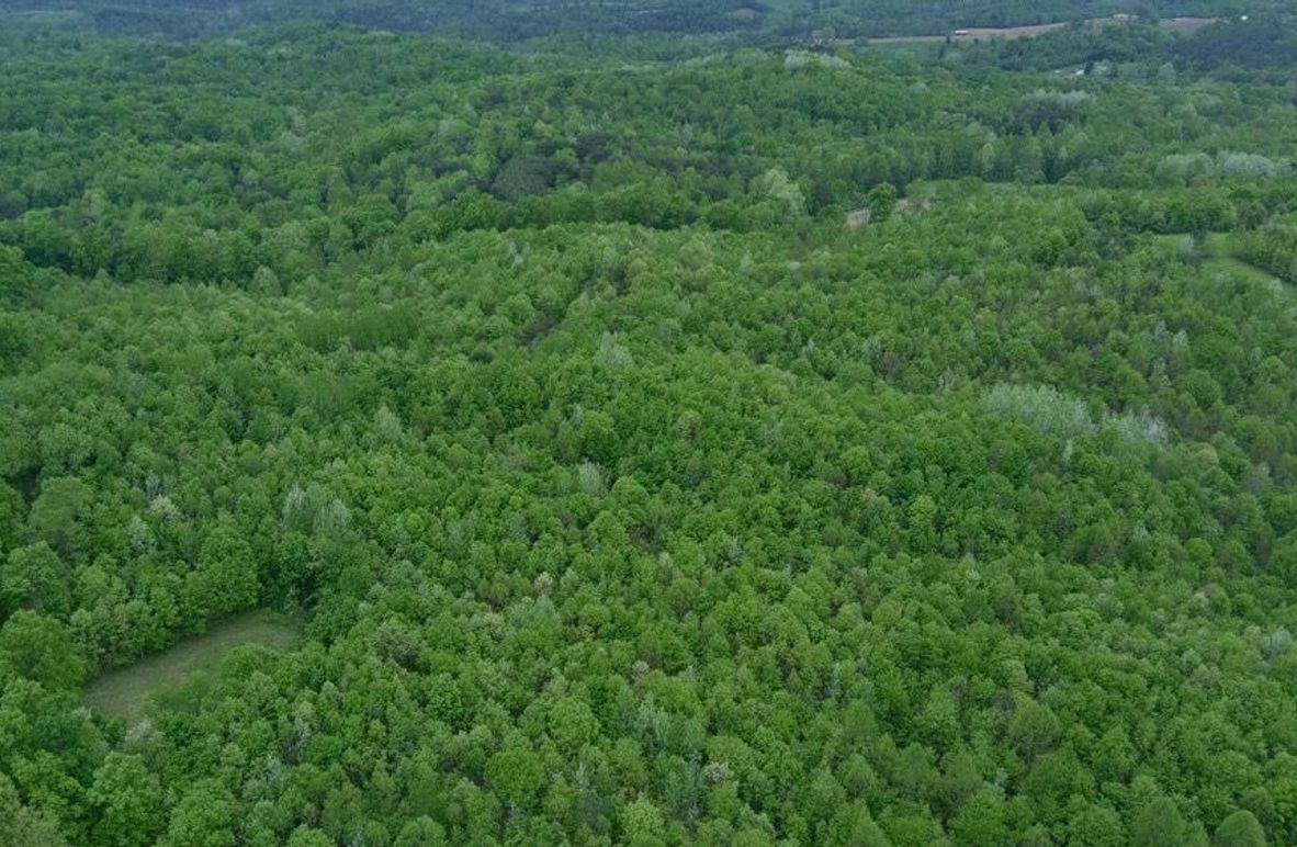 5749870_100DRONE_SING0008