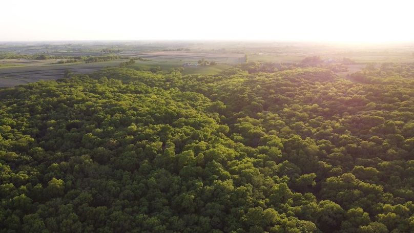 PAGE CO IA 130+_-_53