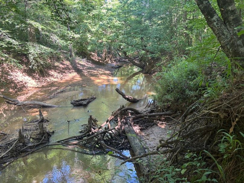 IMG_5749