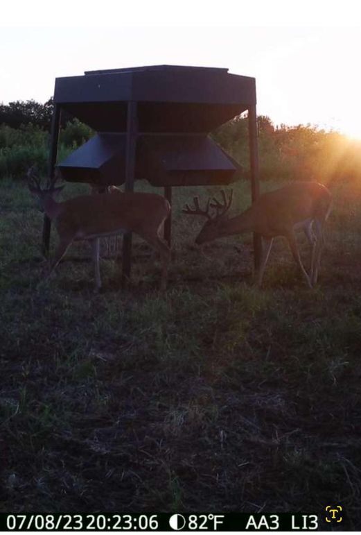 Screenshot_20231110_102132_Gallery