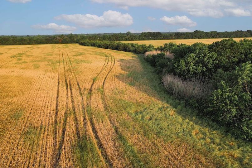 Lamar County- 92.66 Acres (17 of 29)