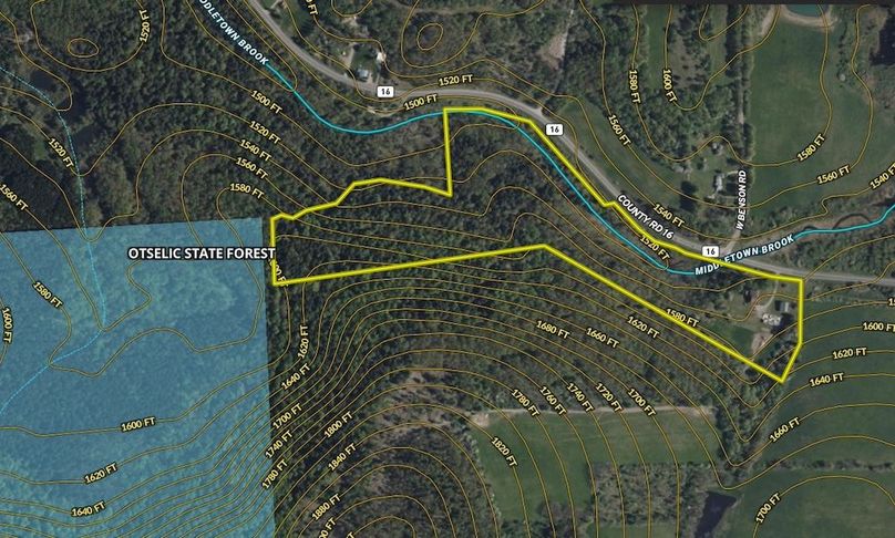 Chenango 36 Myers Topo