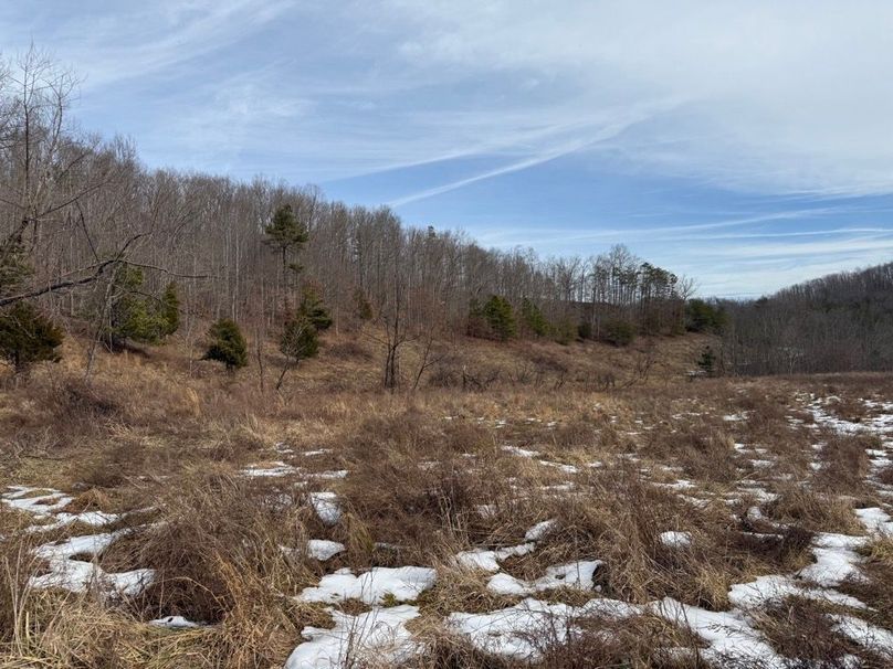 024 large open field area in the west area of the property