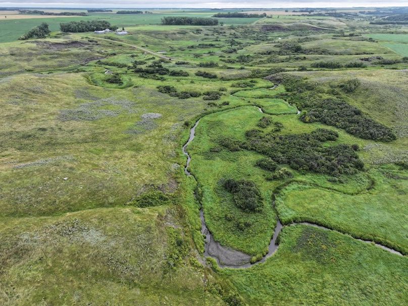 DJI_20250704141132_0626_D