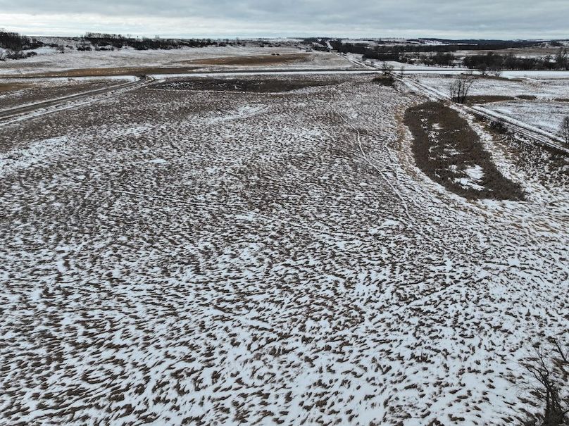 DJI_20251209174946_0980_D