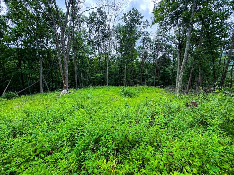 Tyler, WV 46 Lemasters -20