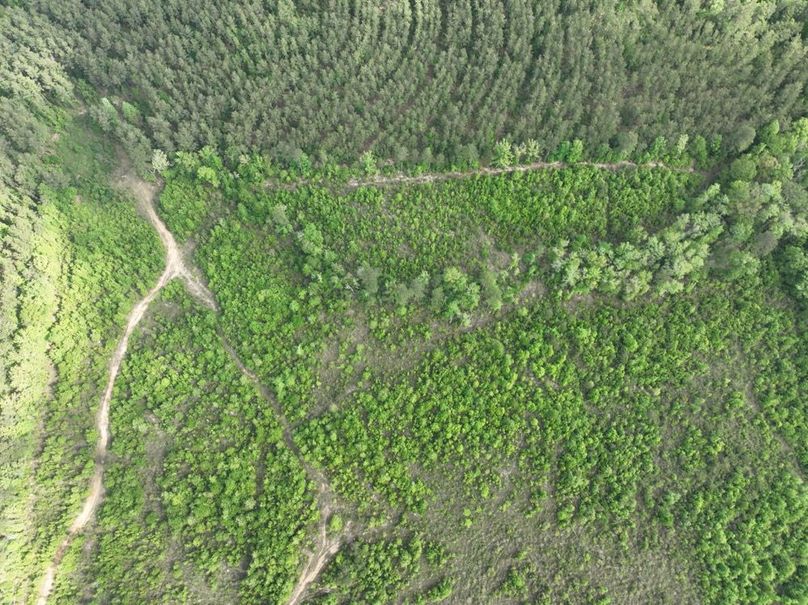 dji_fly_20260415_105018_383_1776345132577_photo