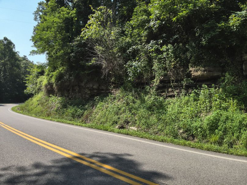 34. Road into Property (18acres)