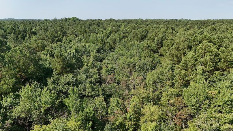 DJI_20250627095233_0105_D