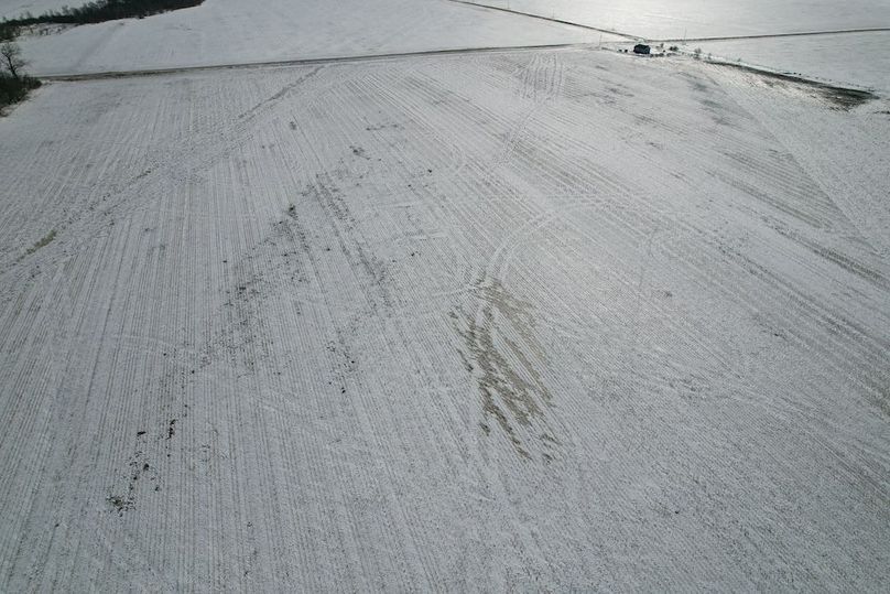 dji_fly_20260226_145416_90_1772139409562_photo