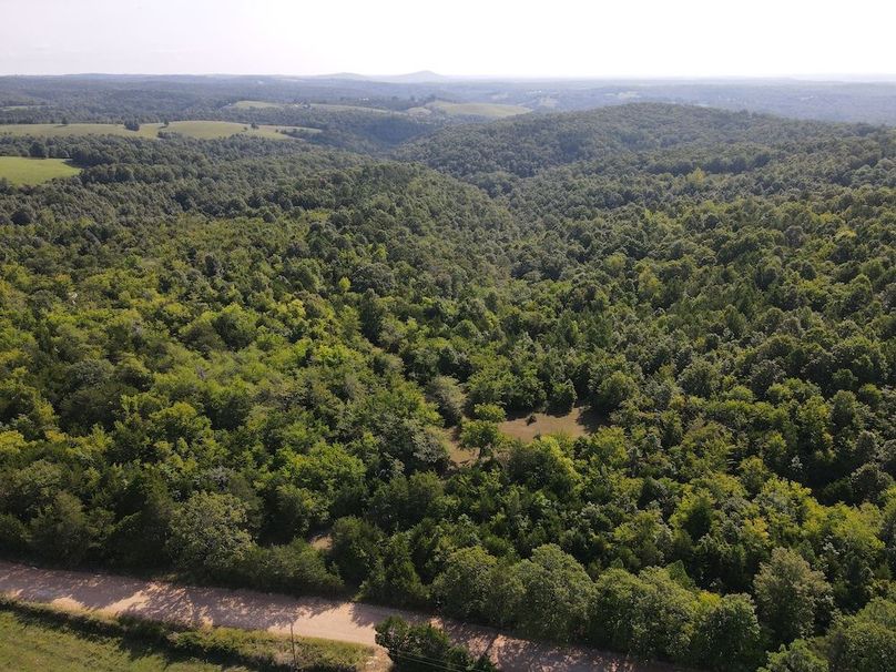 dji_fly_20240808_095344_303_1723128885488_photo