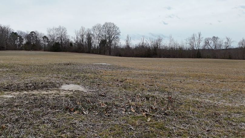 dji_fly_20260218_164558_0034_1771452055372_photo