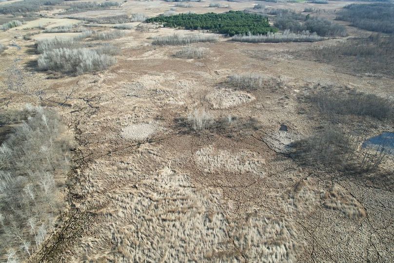 dji_fly_20260415_174724_181_1776293490991_photo