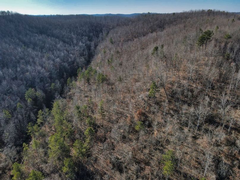 041 nice hardwood hollows