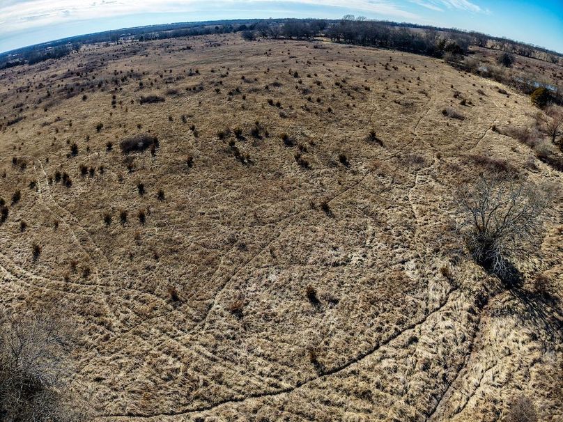 DJI_20260119141242_0823_D