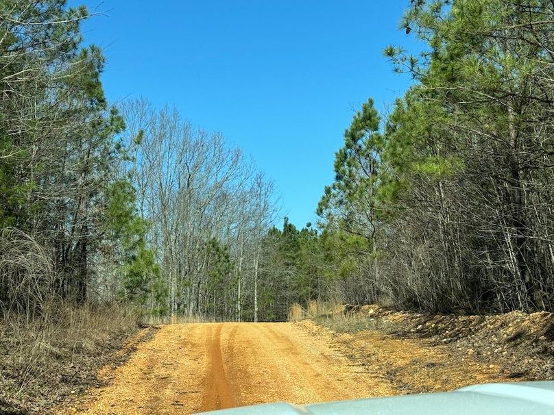 Large Timber Tract With Miles Of Road Frontage Whitetail Properties