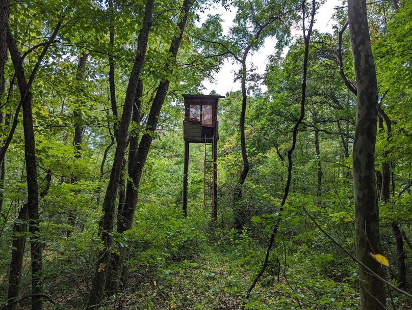 PXL_20230908_181817815