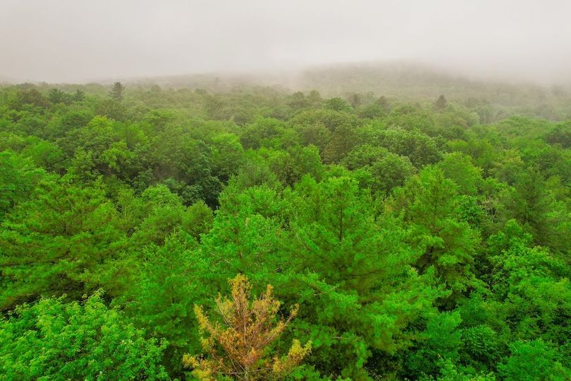 dji_fly_20250627_105310_31_1751036260519_photo