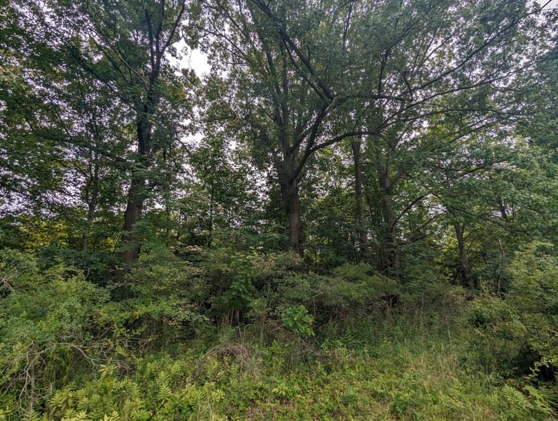 PXL_20230801_172738035.MP