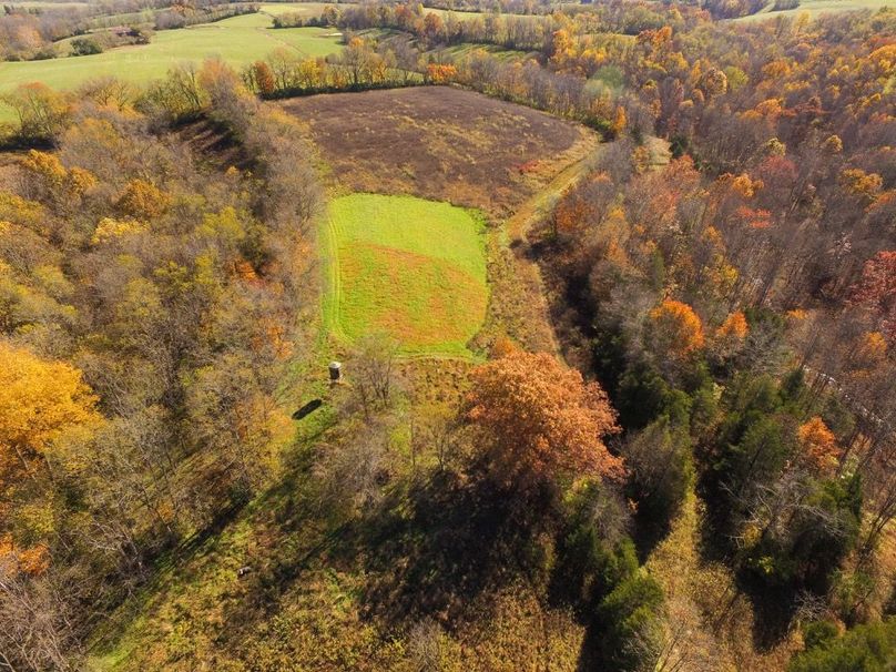 Fleming Petry 120-026