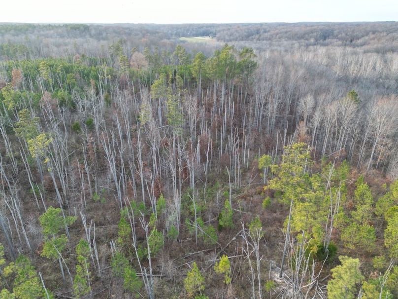 dji_fly_20231130_052056_253_1701905207173_photo