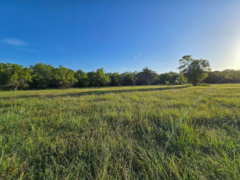 Copy of 20250729_073525