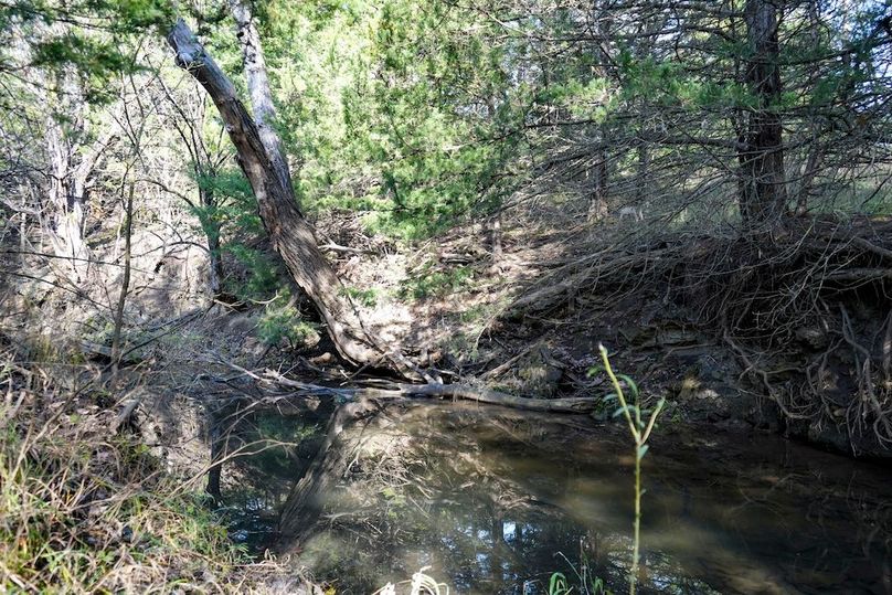 Dickinson Co, 154.5_055