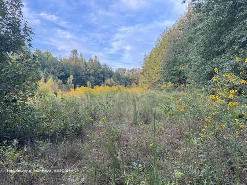 DeSoto 329 Prewett (Thompson) -19