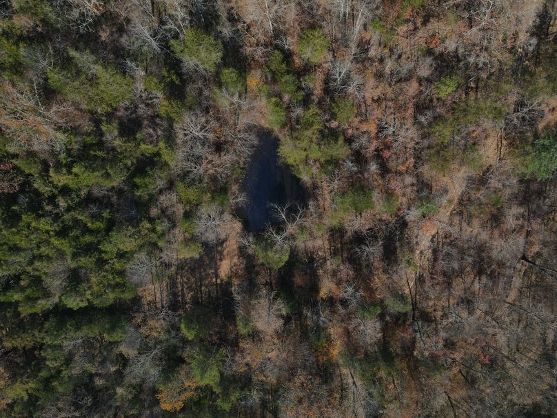 035 aerial drone shot looking straight down into the canopy