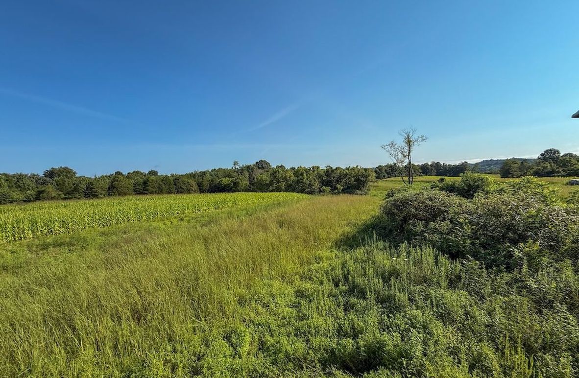 Lewis 90 Wengert new pic-02